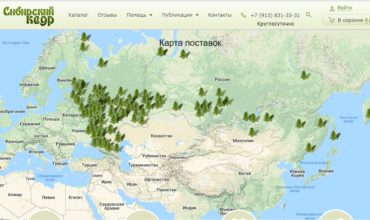 питомник сибирский кедр красноярск