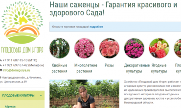 питомник дом игоря саженцы каталог