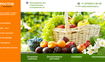 питомник росток