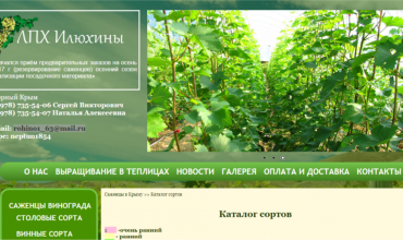 саженцы винограда в крыму купить
