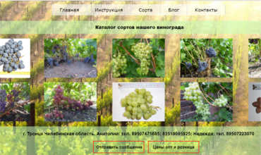 саженцы винограда в Челябинске купить