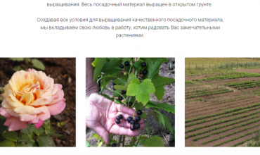 питомник в александрове