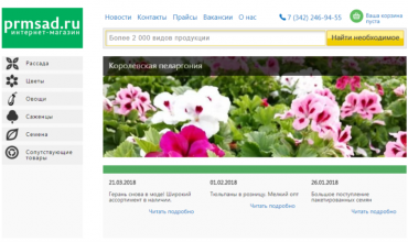 рассада овощей купить в перми