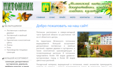 саженцы купить в брянске