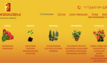 купить рассаду овощей в перми