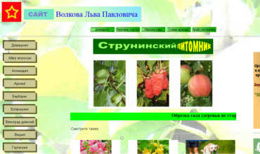 питомник струнинский саженцы