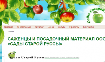 питомник старой руссы каталог