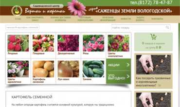 саженцы в вологде питомник