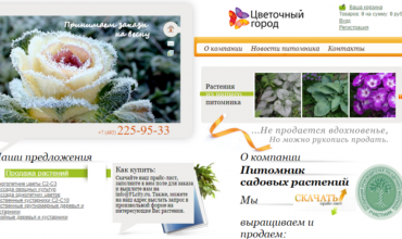 питомник цветочный город владимирская область