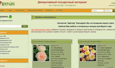саженцы роз в иваново купить