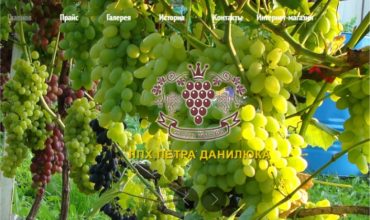 саженцы винограда в ульяновске
