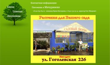 саженцы мичуринские из питомника